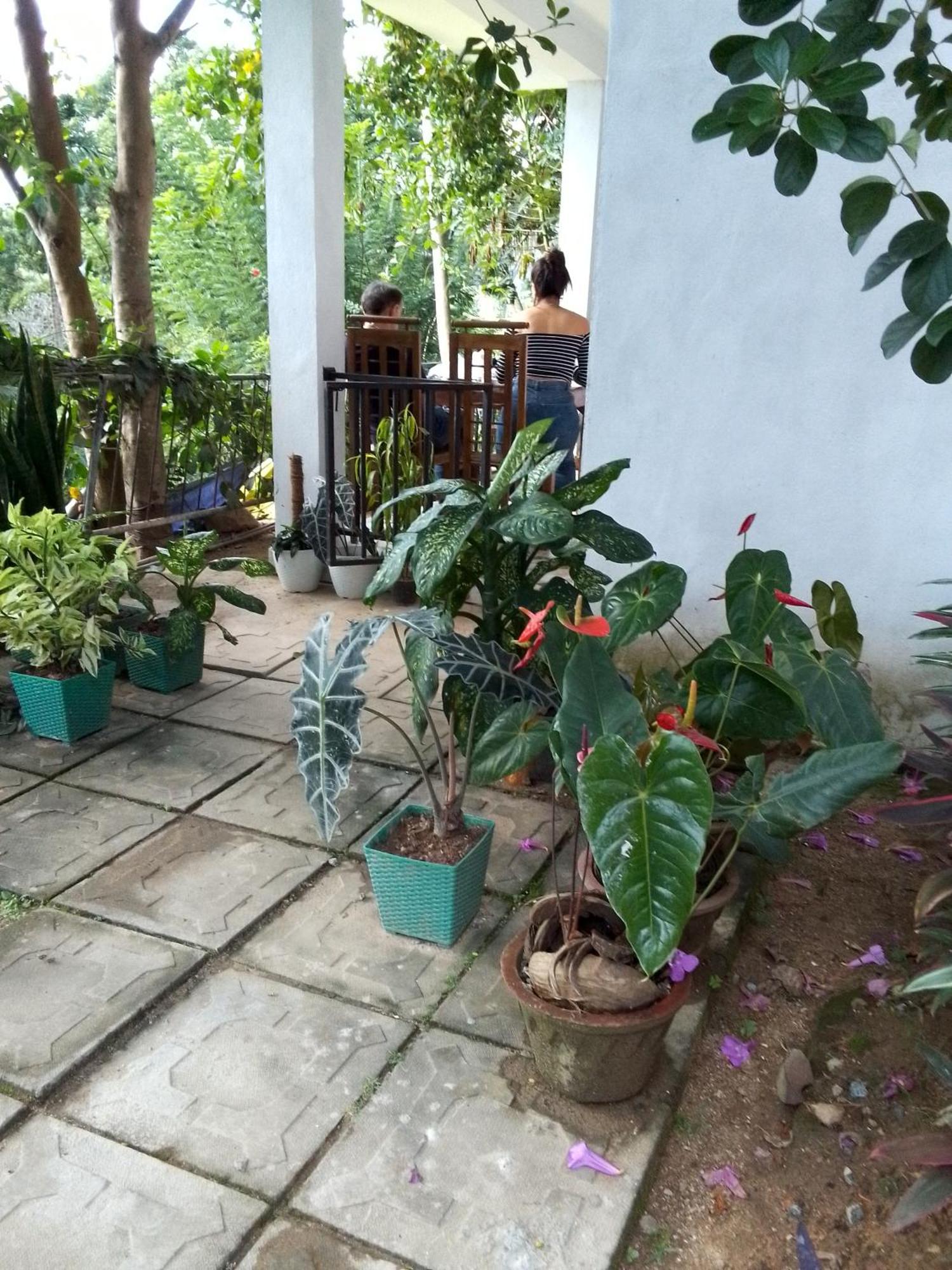 Charming View Homestay Ella Rom bilde